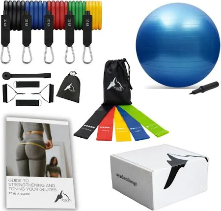 Nyack Exchange PT IN A BOX Glute Strengthening Exercise Kit